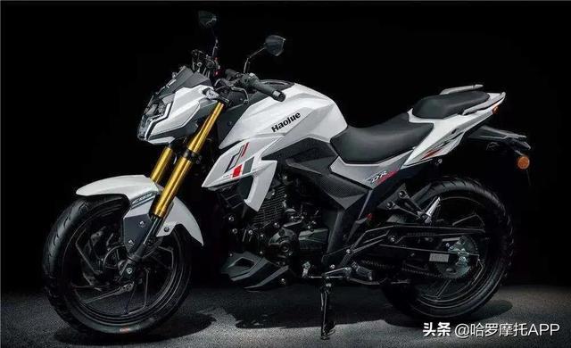 中国摩托车品牌销售排行榜前十名 全国销量第一的摩托车